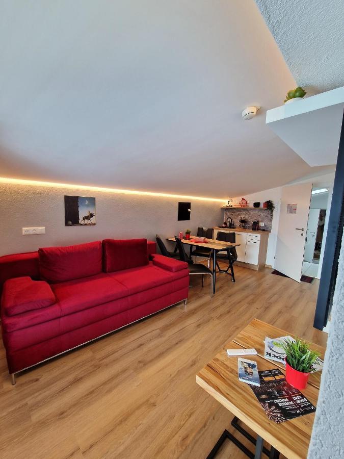 Apartment Kalina & Lian - ツェル アム ゼー エクステリア 写真